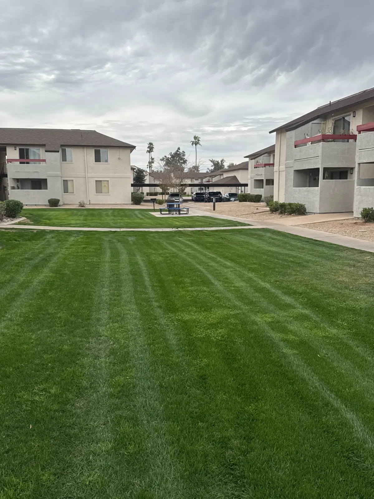 Striped turf lawn across a residential courtyard with walkways and common seating.